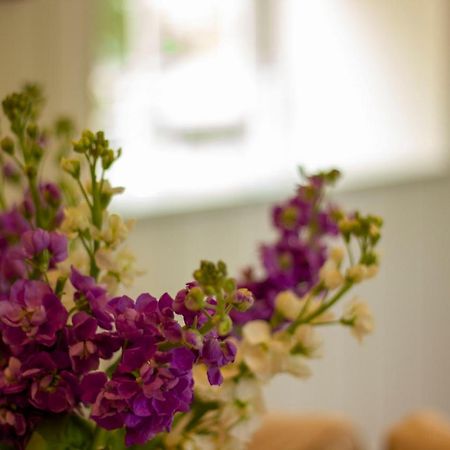 The Potting Shed, 5* Luxury Escape Cirencester Εξωτερικό φωτογραφία